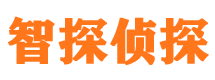 文成侦探